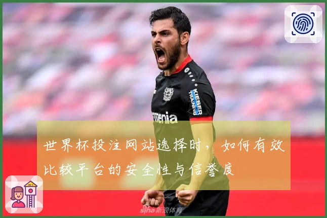 世界杯投注网站选择时，如何有效比较平台的安全性与信誉度