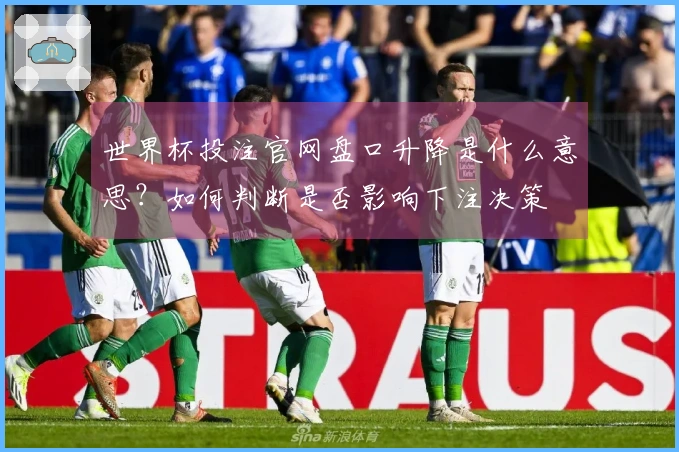 世界杯投注官网盘口升降是什么意思？如何判断是否影响下注决策