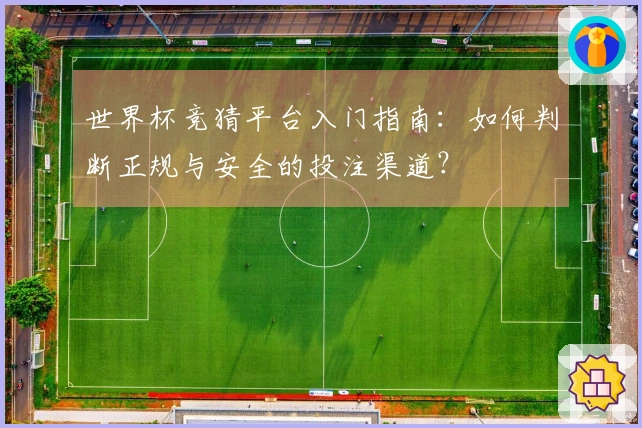 世界杯竞猜平台入门指南：如何判断正规与安全的投注渠道？