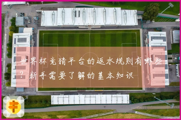 世界杯竞猜平台的返水规则有哪些？新手需要了解的基本知识
