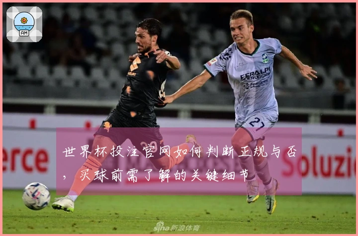 世界杯投注官网如何判断正规与否,买球前需了解的关键细节