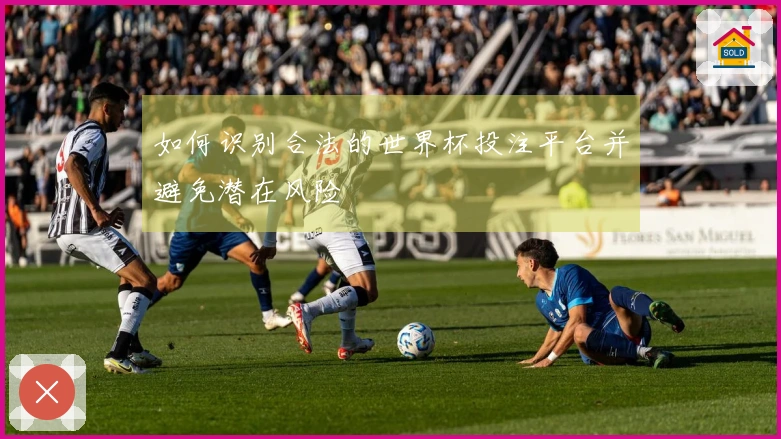 如何识别合法的世界杯投注平台并避免潜在风险