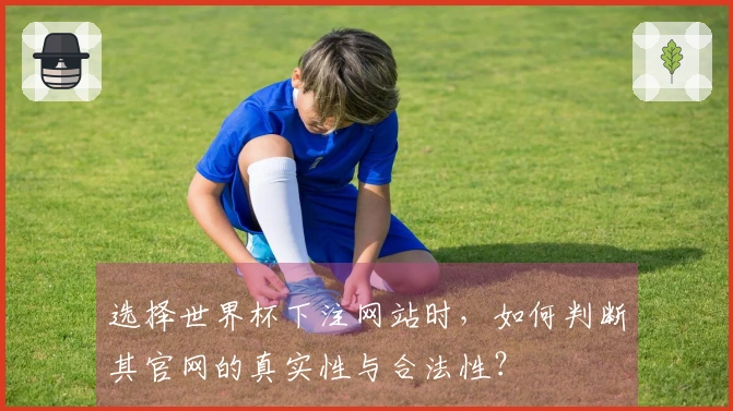 选择世界杯下注网站时，如何判断其官网的真实性与合法性？