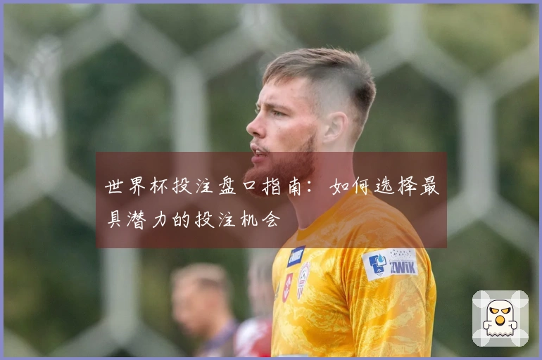 世界杯投注盘口指南：如何选择最具潜力的投注机会