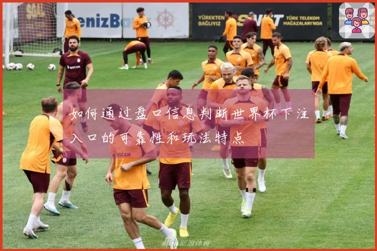 如何通过盘口信息判断世界杯下注入口的可靠性和玩法特点