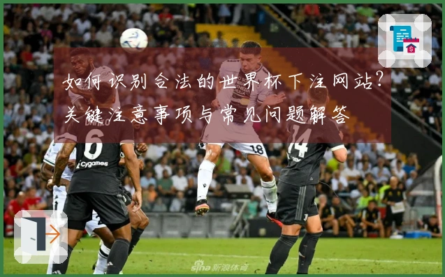 如何识别合法的世界杯下注网站？关键注意事项与常见问题解答