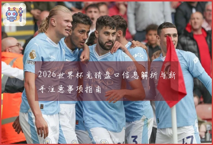 2026世界杯竞猜盘口信息解析与新手注意事项指南