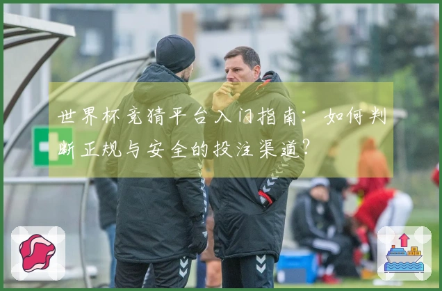 世界杯竞猜平台入门指南:如何判断正规与安全的投注渠道?