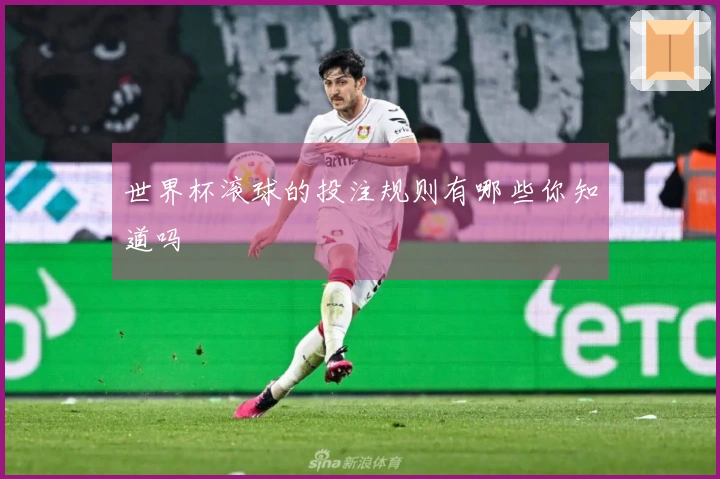 世界杯滚球的投注规则有哪些你知道吗