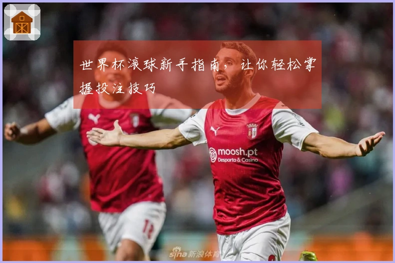 世界杯滚球新手指南，让你轻松掌握投注技巧