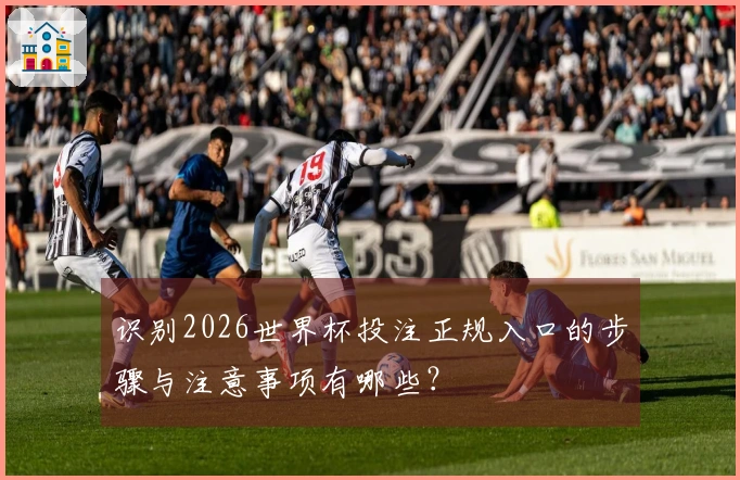 识别2026世界杯投注正规入口的步骤与注意事项有哪些？