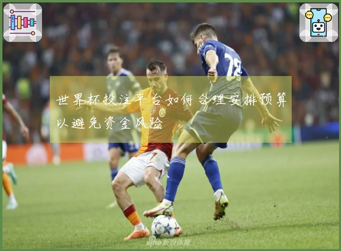 世界杯投注平台如何合理安排预算以避免资金风险