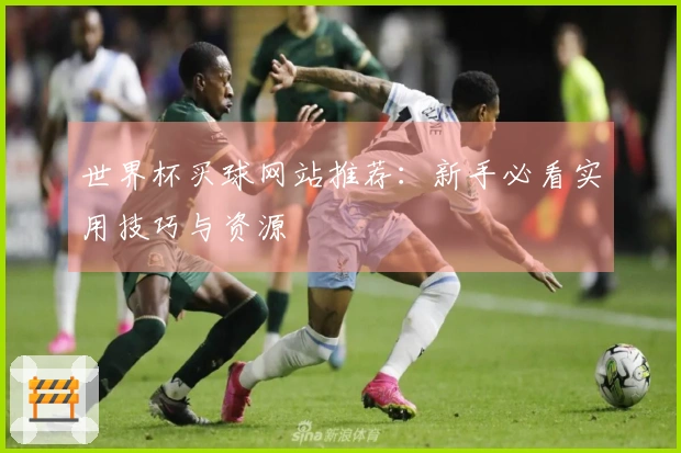世界杯买球网站推荐：新手必看实用技巧与资源