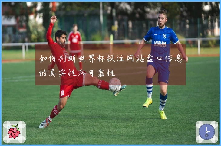 如何判断世界杯投注网站盘口信息的真实性和可靠性