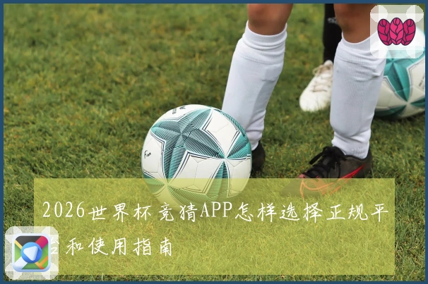 2026世界杯竞猜APP怎样选择正规平台和使用指南