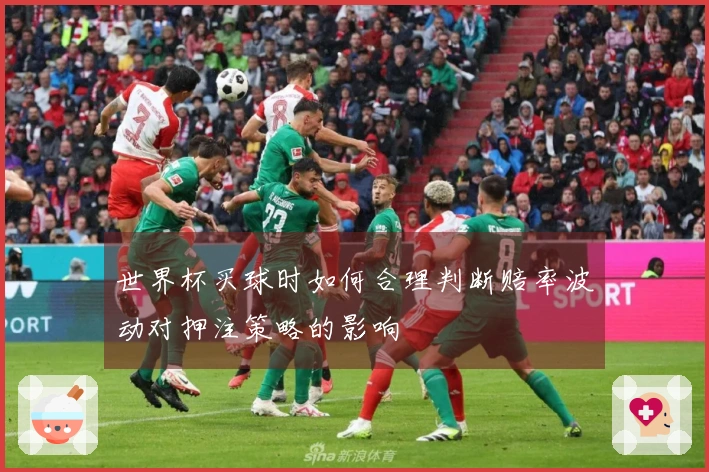 世界杯买球时如何合理判断赔率波动对押注策略的影响