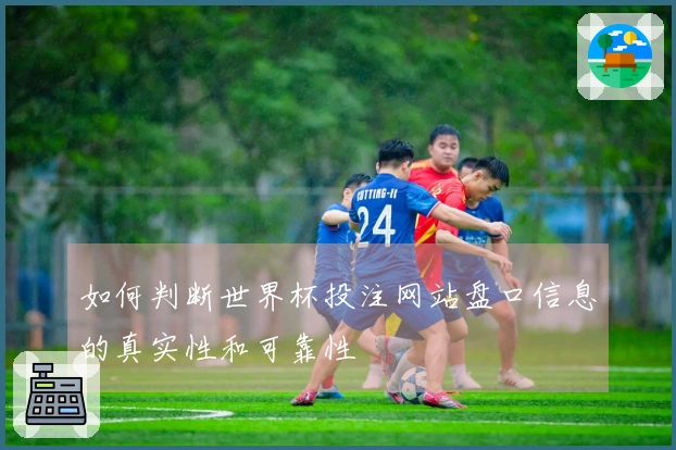 如何判断世界杯投注网站盘口信息的真实性和可靠性
