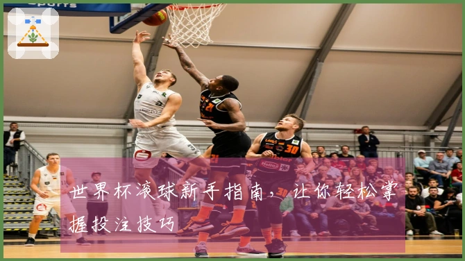 世界杯滚球新手指南，让你轻松掌握投注技巧