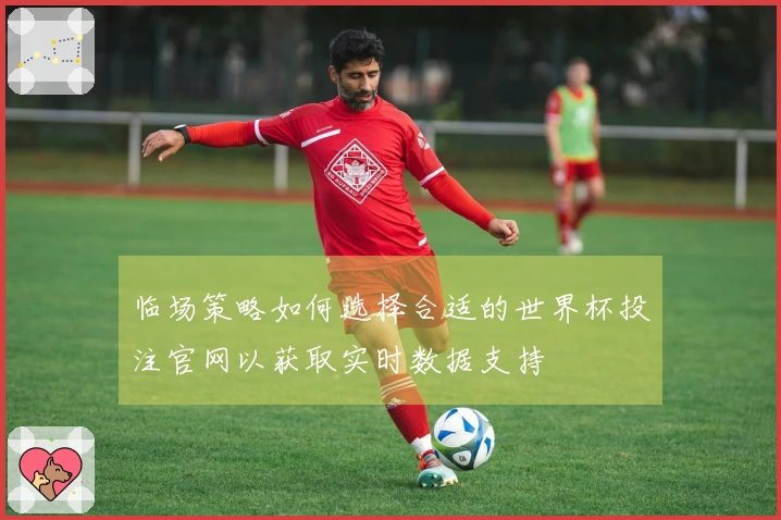 临场策略如何选择合适的世界杯投注官网以获取实时数据支持