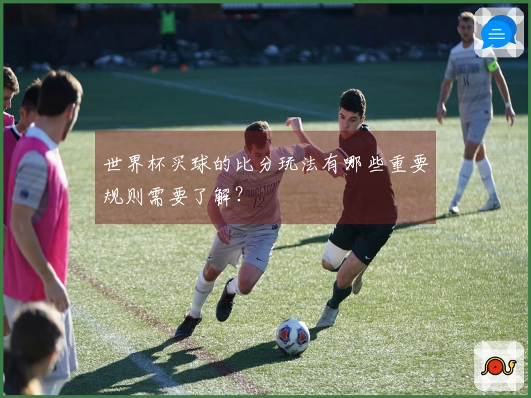 世界杯买球的比分玩法有哪些重要规则需要了解？