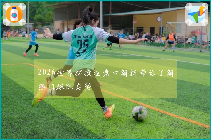 2026世界杯投注盘口解析带你了解热门球队走势