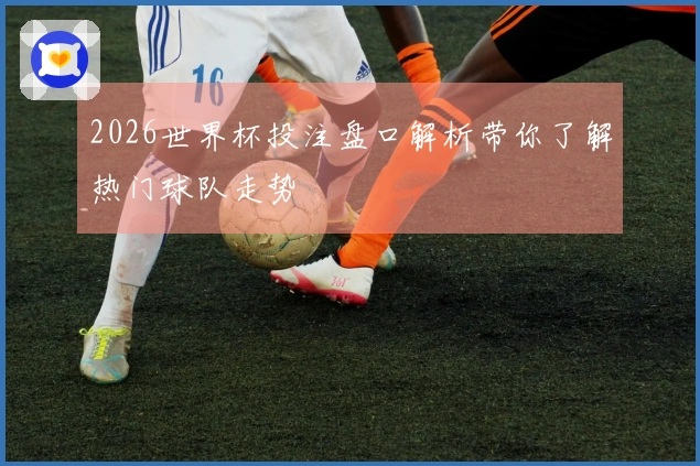 2026世界杯投注盘口解析带你了解热门球队走势