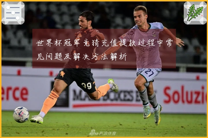 世界杯冠军竞猜充值提款过程中常见问题及解决方法解析