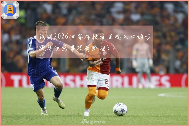 识别2026世界杯投注正规入口的步骤与注意事项有哪些？