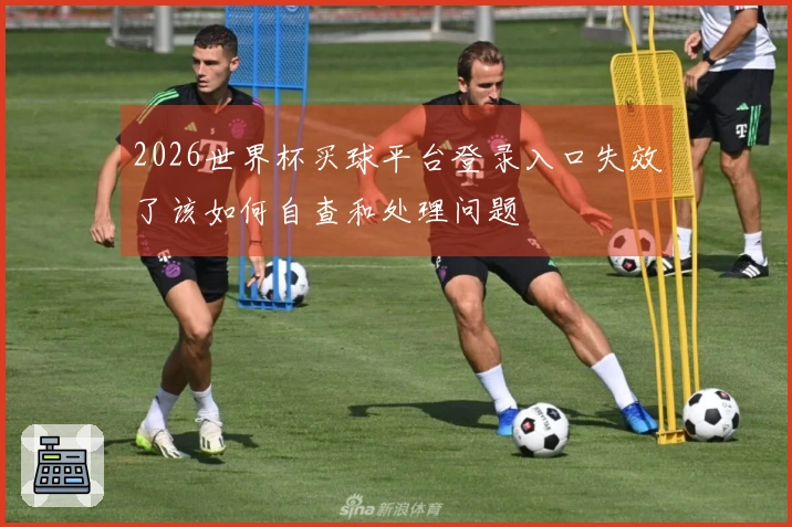 2026世界杯买球平台登录入口失效了该如何自查和处理问题