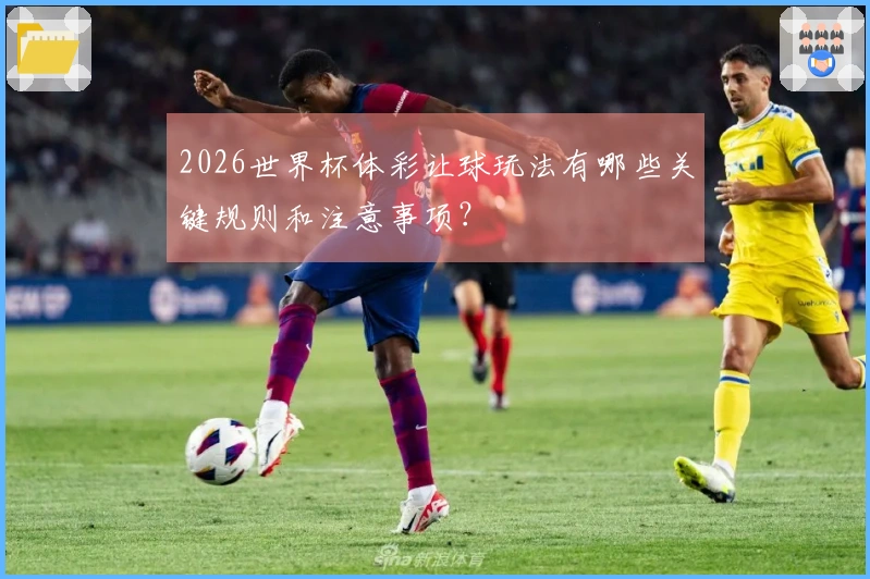 2026世界杯体彩让球玩法有哪些关键规则和注意事项？