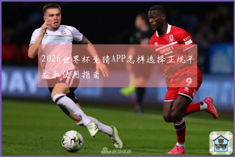 2026世界杯竞猜APP怎样选择正规平台和使用指南