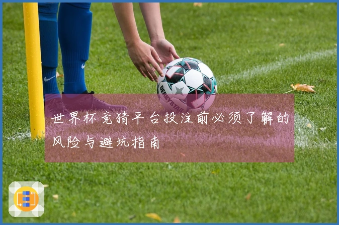 世界杯竞猜平台投注前必须了解的风险与避坑指南