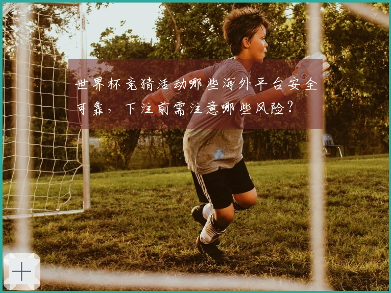 世界杯竞猜活动哪些海外平台安全可靠，下注前需注意哪些风险？