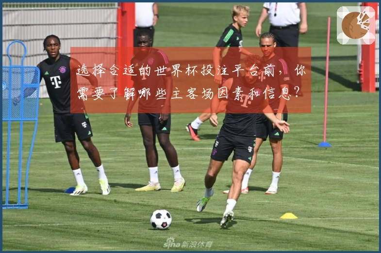 选择合适的世界杯投注平台前，你需要了解哪些主客场因素和信息？