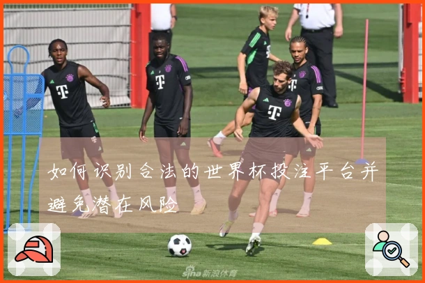 如何识别合法的世界杯投注平台并避免潜在风险